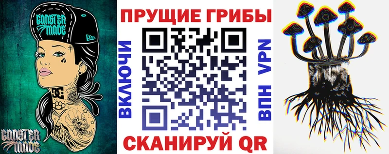 Купить  Озёрск  Галлюциногенные грибы прущие грибы 
